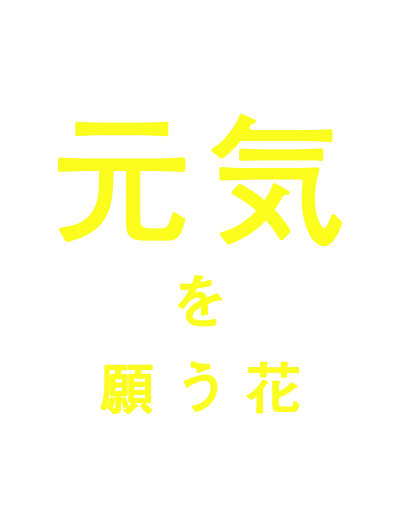 元気を願う花