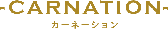 CARNATION カーネーション