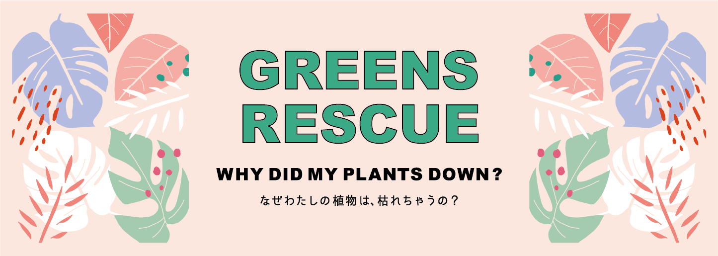 GREENS RESCUE　WHY DID MY PLANTS DOWN?　なぜわたしの植物は、枯れちゃうの？