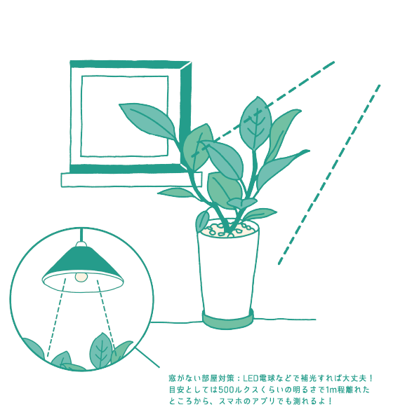窓がない部屋対策:LED電球などで補光すれば大丈夫!　目安としては500ルクスくらいの明るさで1m程離れたところから、スマホのアプリでも測れるよ!