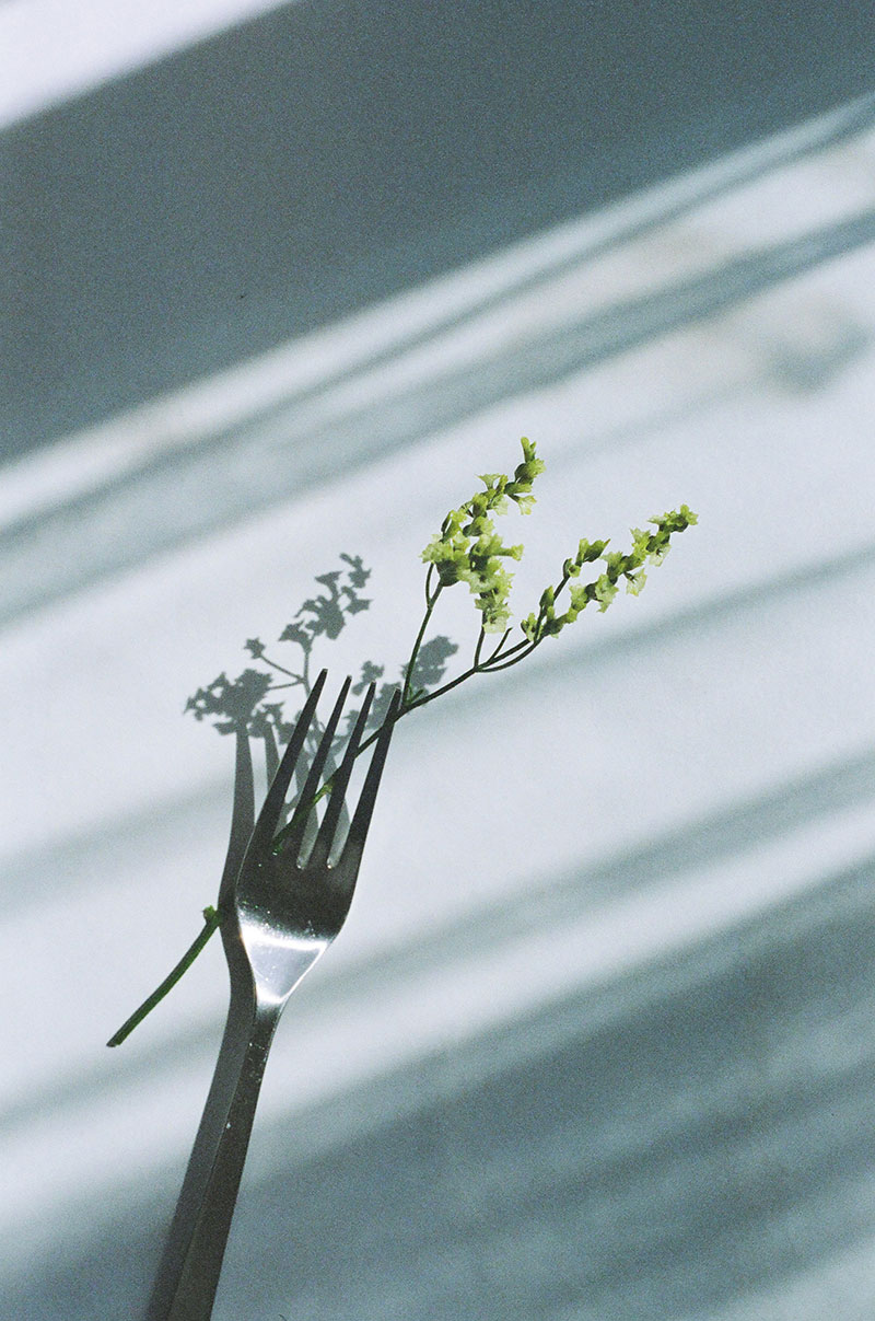 写真:あれもこれも花瓶