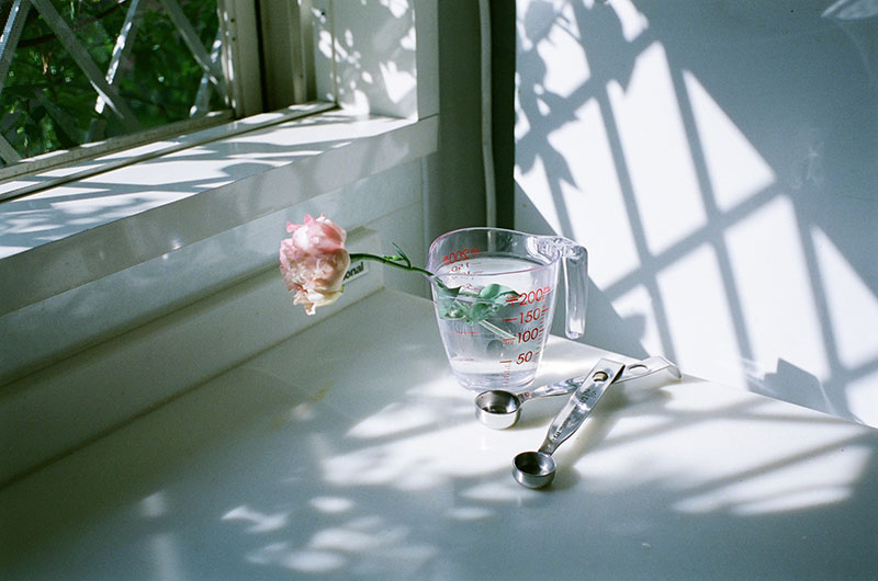 写真:あれもこれも花瓶