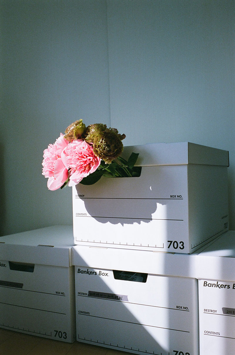 写真:あれもこれも花瓶