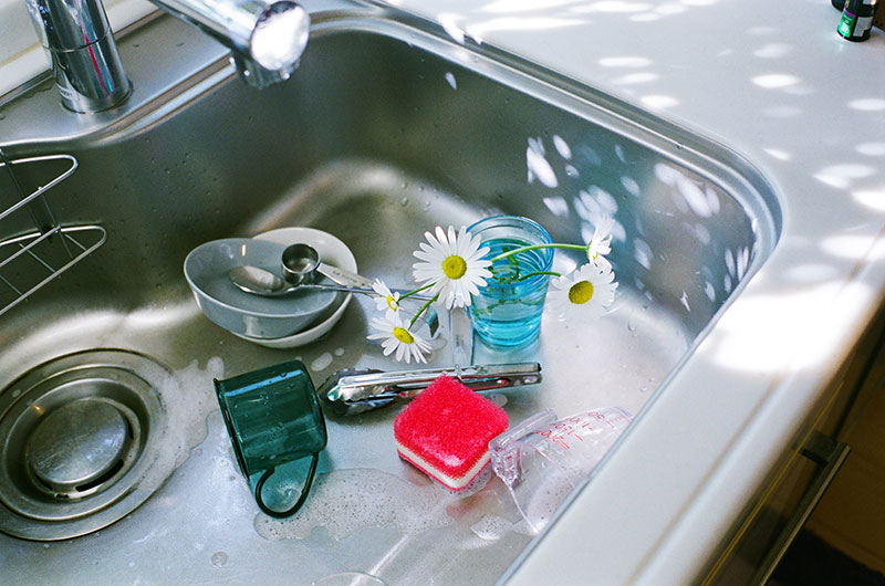 写真:あれもこれも花瓶