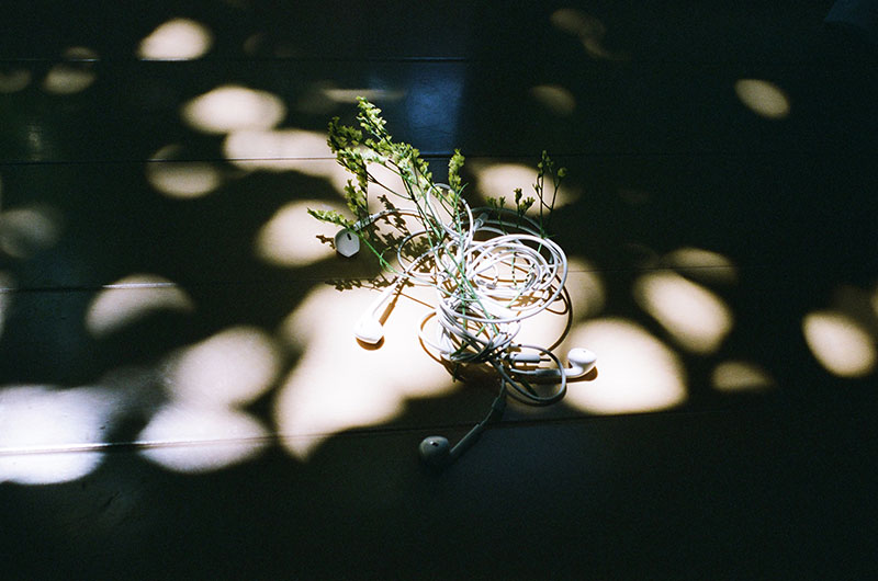 写真:あれもこれも花瓶