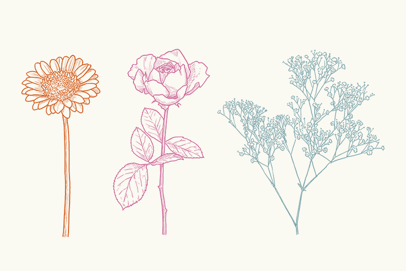 定番フラワーも秋が旬！