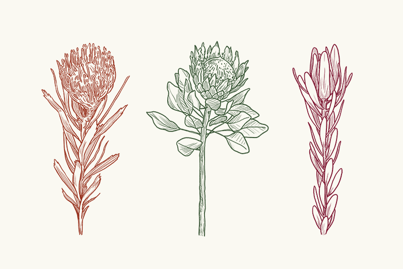 大地のエネルギー！