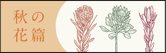 秋の花篇
