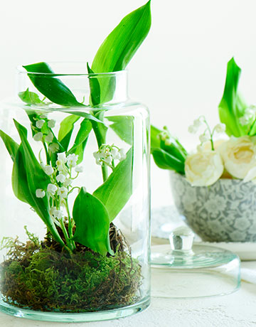 可憐な香り♪スズランのテラニウム風アレンジ