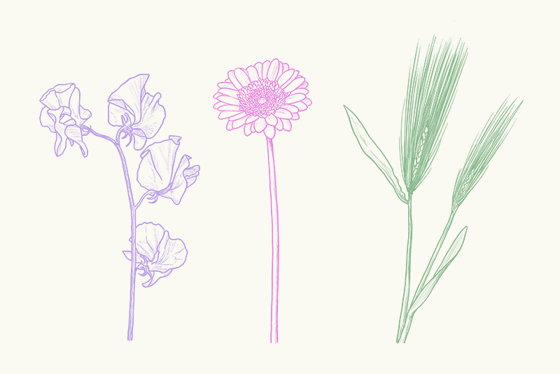 新しいステージを祝う花