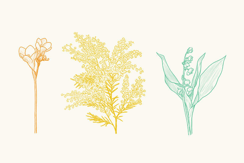 春の香りの花を大切な人に