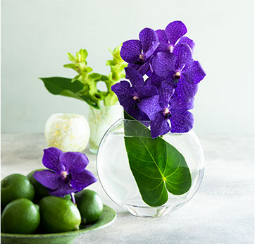 花1本＋グリーン1枚だけでモダンなインテリアフラワーに