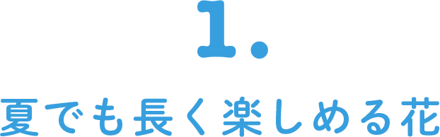 1. 夏でも長く楽しめる花