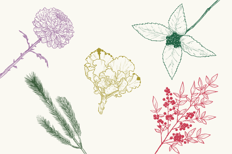 日本のおめでたい花